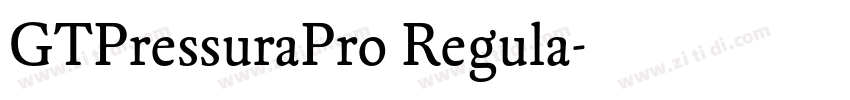 GTPressuraPro Regula字体转换